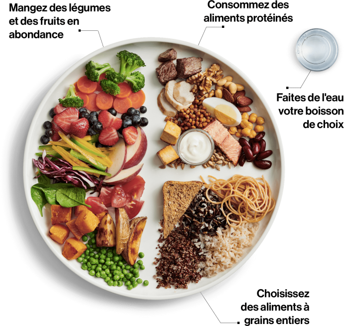 Food Guide